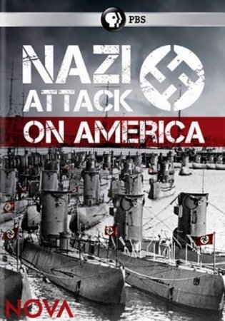 Нападение нацистов на США (2015)