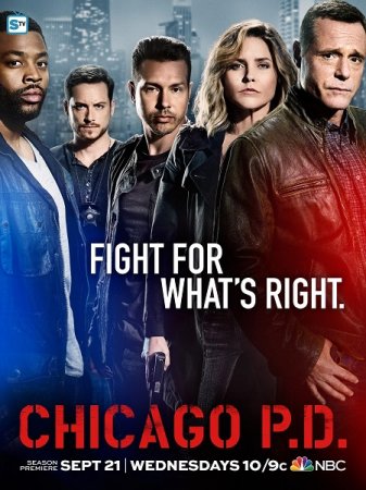 Полиция Чикаго (4 сезон)